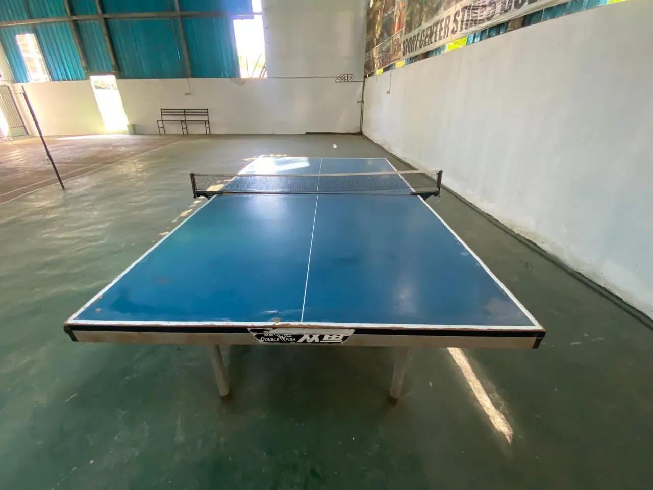 Tenis Meja
